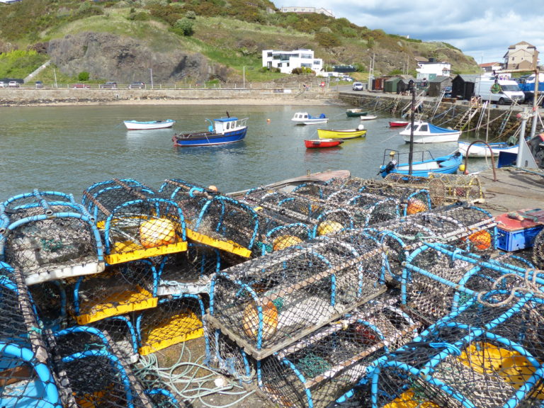 Fife Reporter News from the Kingdom